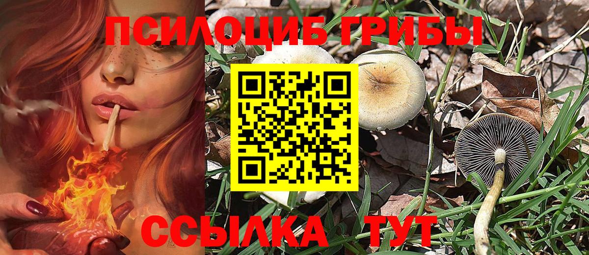 Галлюциногенные грибы прущие грибы Вичуга